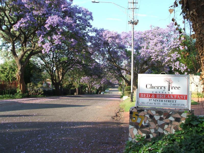 Cherry Tree Cottage B&B Linden Johannesburg Buitenkant foto