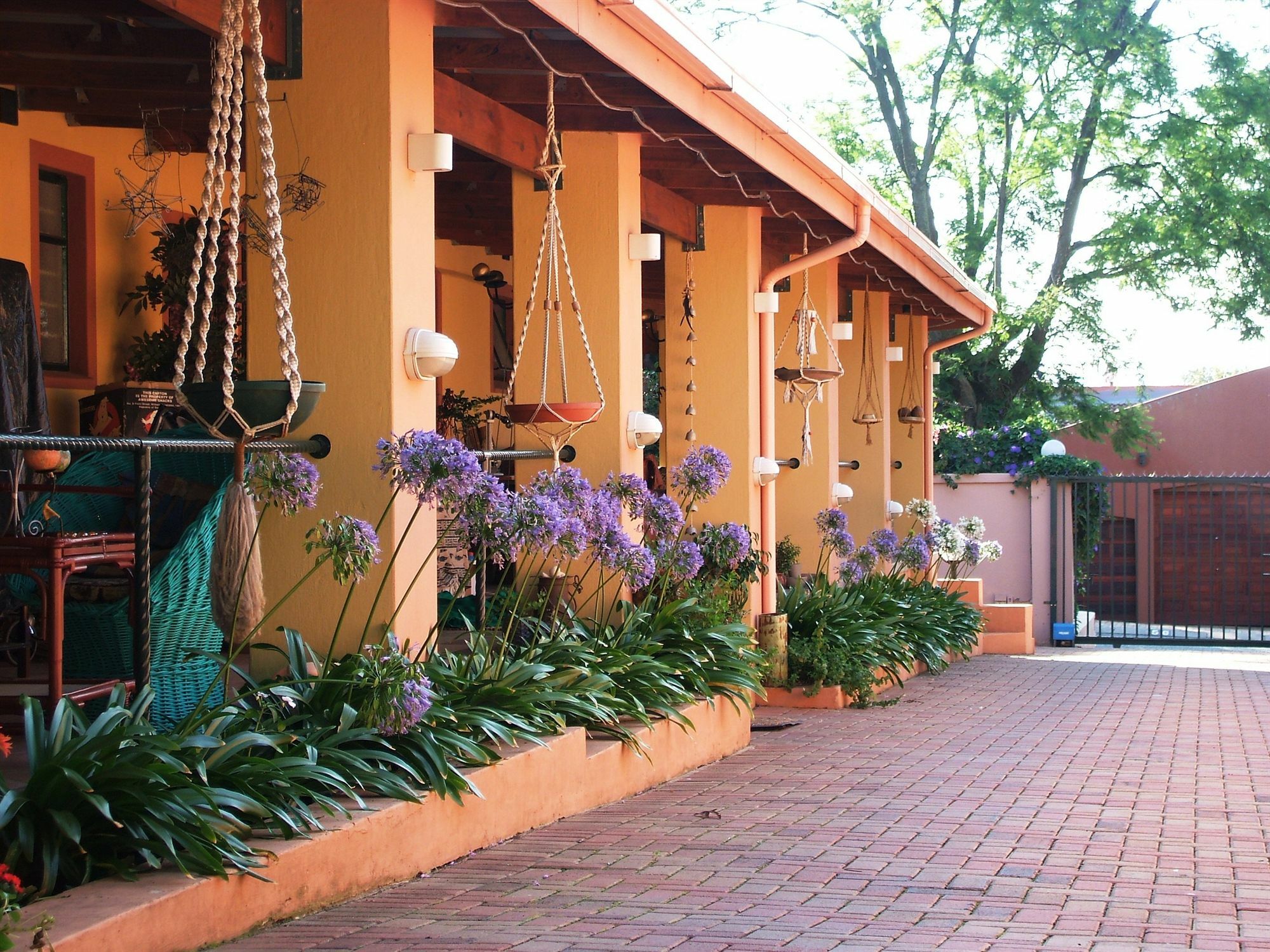 Cherry Tree Cottage B&B Linden Johannesburg Buitenkant foto